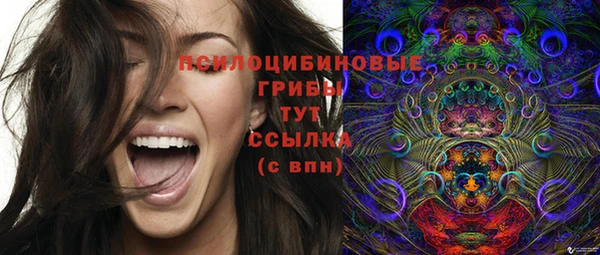 PSILOCYBIN Майский