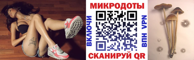 Псилоцибиновые грибы ЛСД  Купить  Короча 