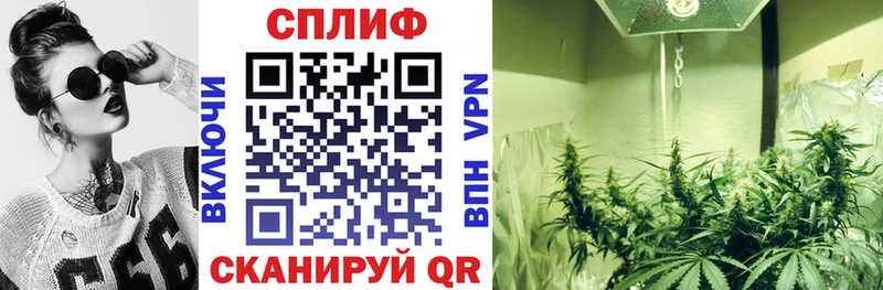 Канабис ГИДРОПОН  Купить где  Короча 